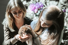 Förderwettbewerb Fell und Federn Wildtierhilfe Stadtwerke Preis 2019 2. Preis